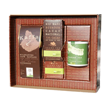 Regenwald Geschenkkarton