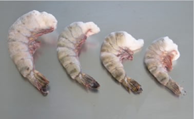 Crevetten roh, ohne Kopf 1 kg Vietnam